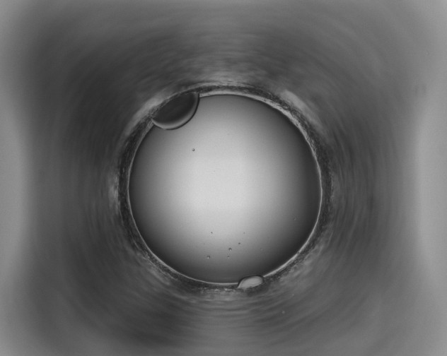 X0000115251307200911061210