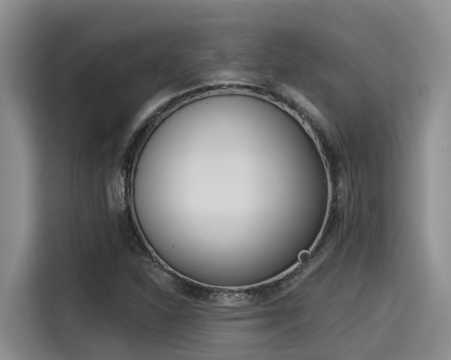 X0000115251310200911061210