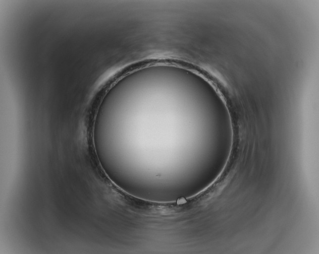 X0000115251311200911061210