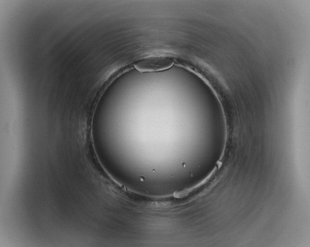X0000115251313200911061210