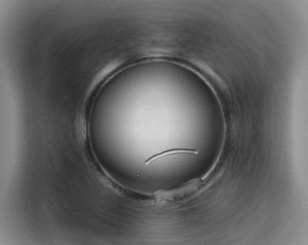 X0000115251317200911061210