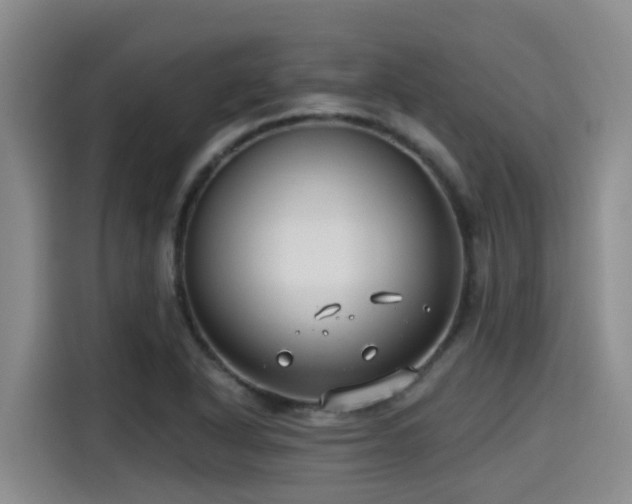 X0000115251318200911061210