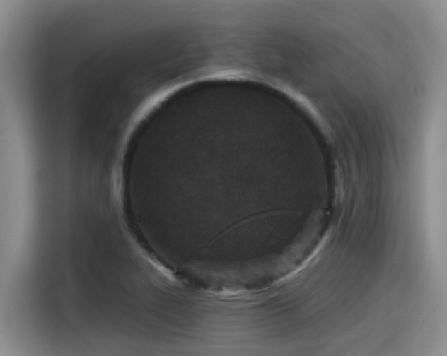 X0000115251319200911061210