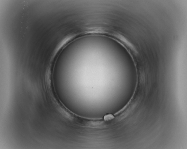 X0000115251325200911061211