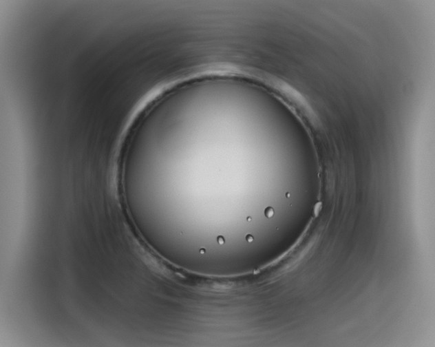 X0000115251326200911061211