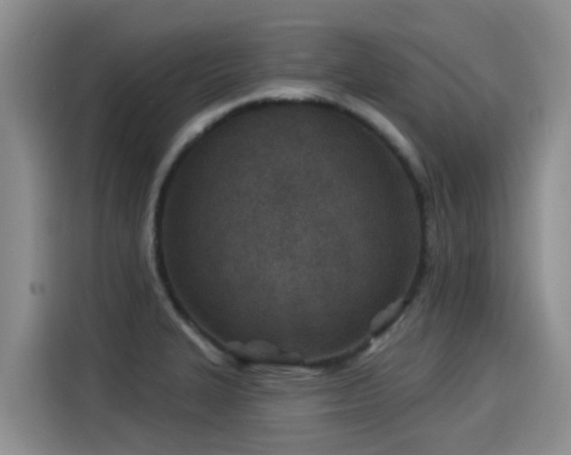 X0000115251327200911061211
