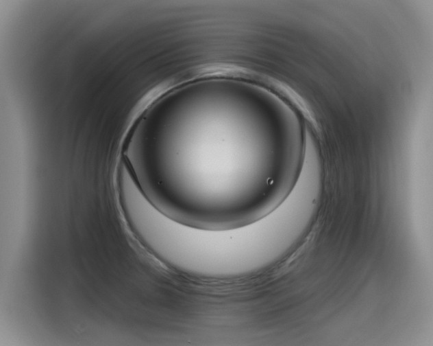 X0000115251330200911061211