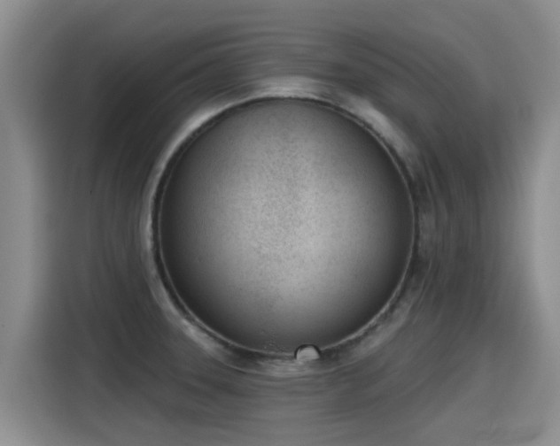X0000115251331200911061211