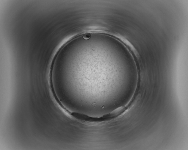 X0000115251333200911061211