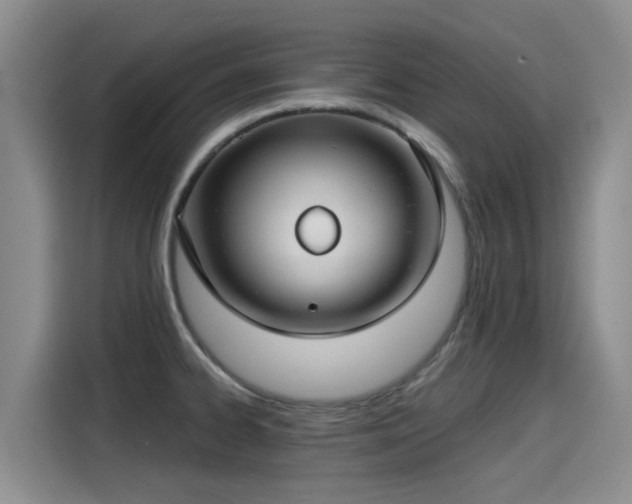 X0000115251334200911061211