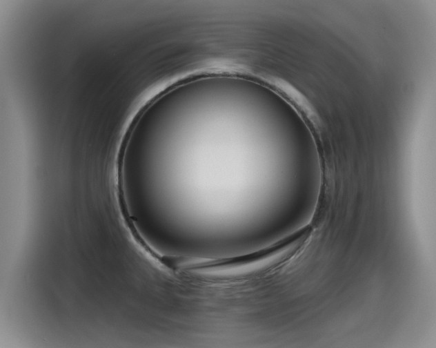 X0000115251335200911061211