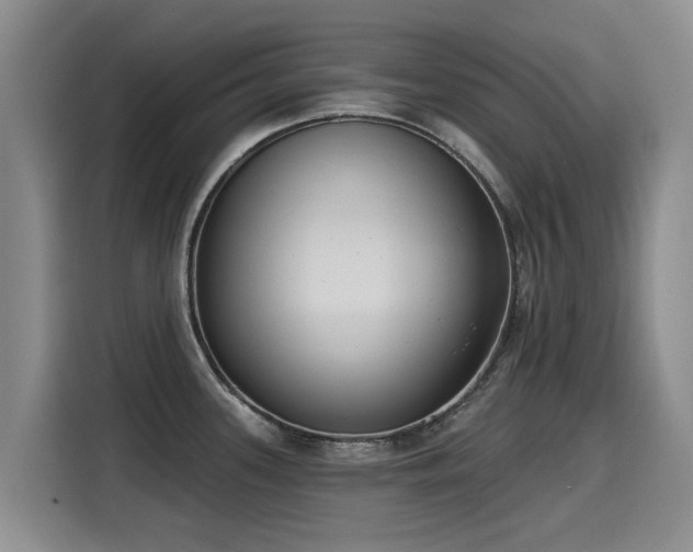 X0000115251339200911061211