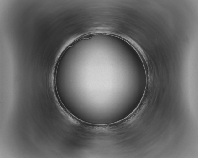 X0000115251341200911061211