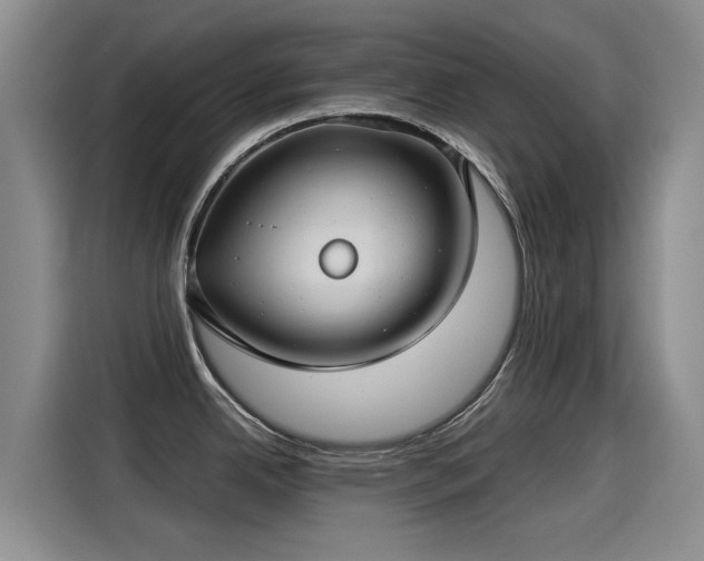 X0000115251342200911061211