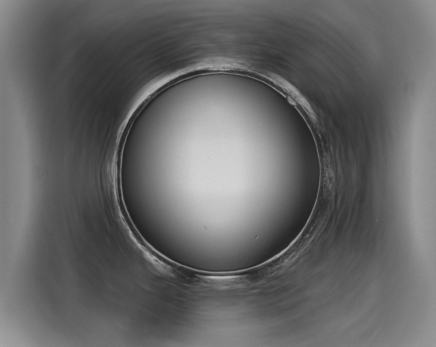 X0000115251343200911061211