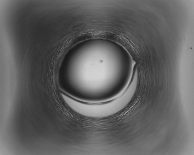 X0000115251345200911061210