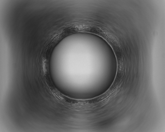 X0000115251346200911061210