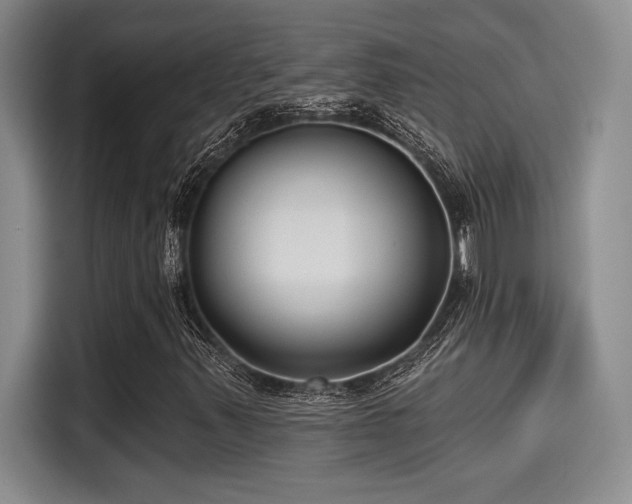X0000115251347200911061210