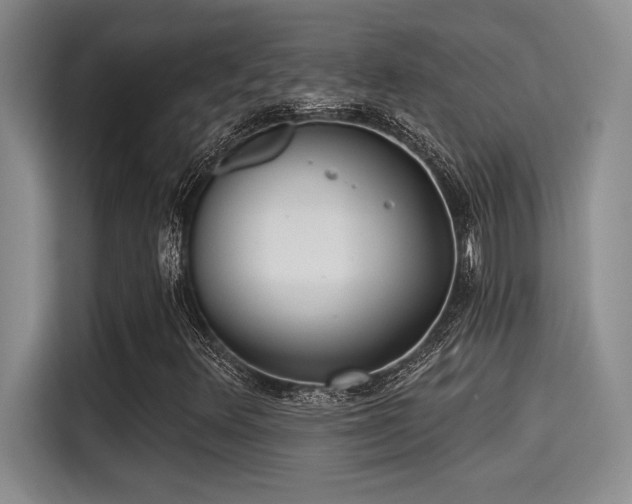 X0000115251348200911061210