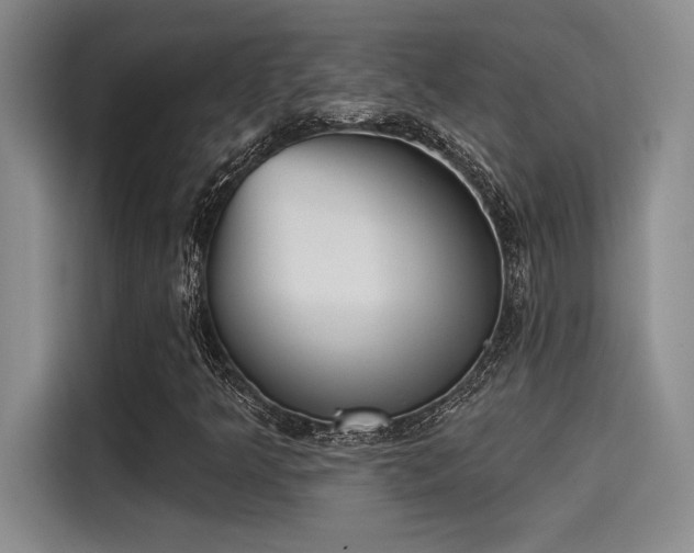 X0000115251349200911061210