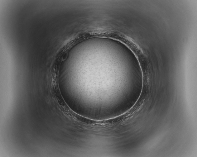 X0000115251350200911061210