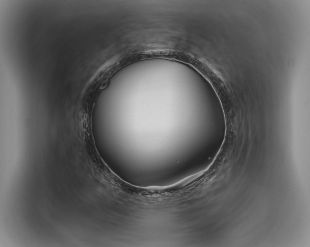X0000115251351200911061210