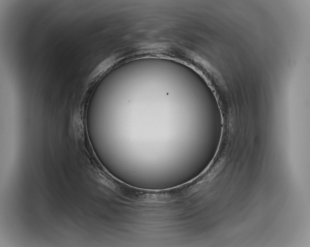 X0000115251354200911061210