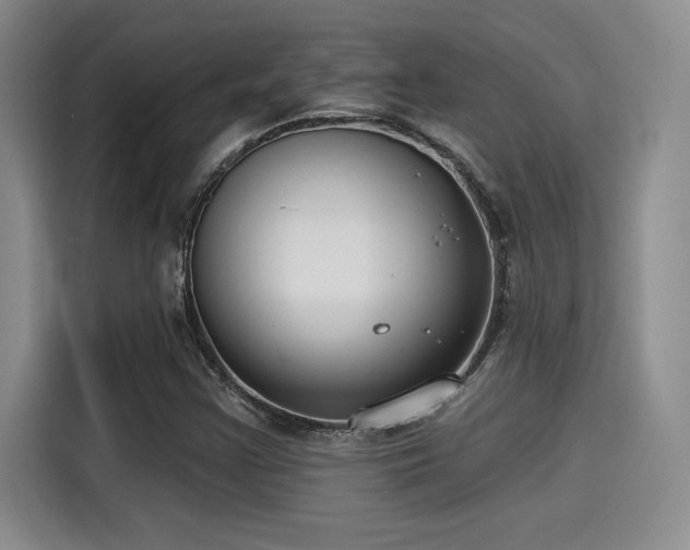 X0000115251355200911061210