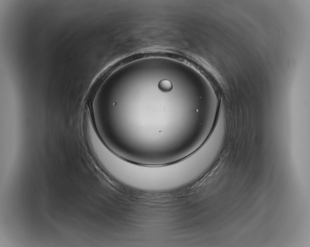 X0000115251356200911061210