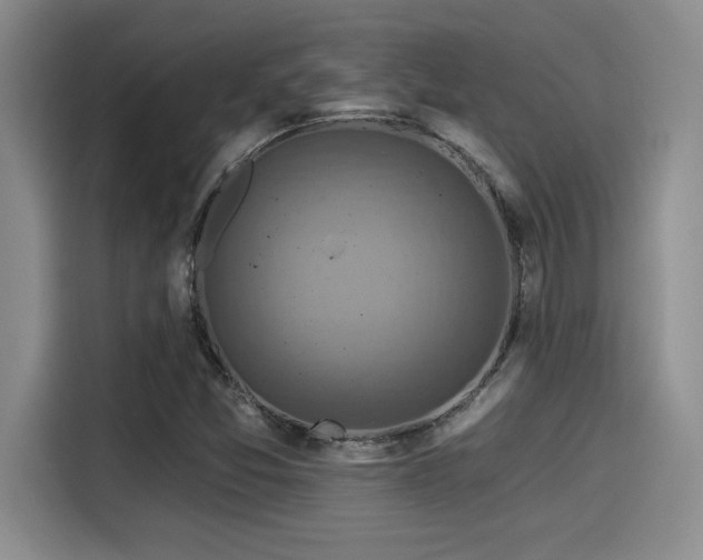 X0000115251357200911061210