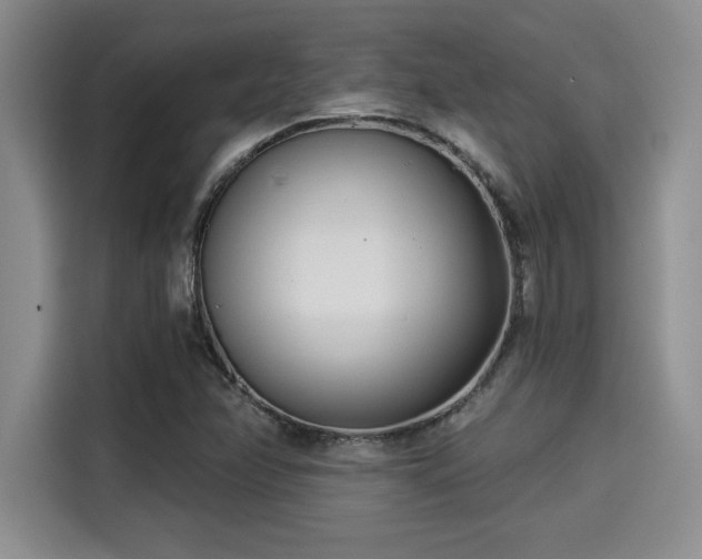 X0000115251358200911061210
