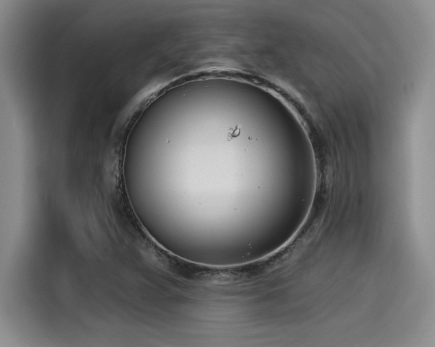 X0000115251359200911061210