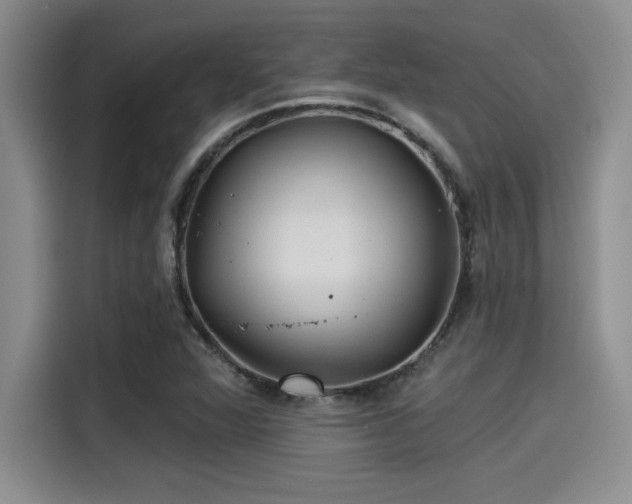 X0000115251360200911061210