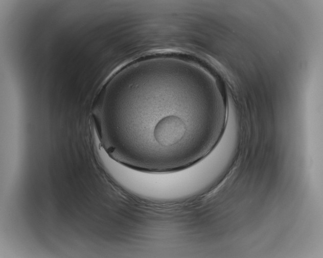 X0000115251361200911061210
