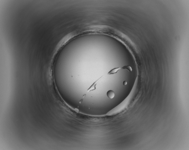 X0000115251362200911061210