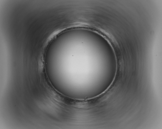 X0000115251363200911061210