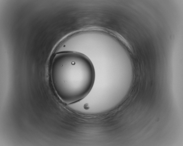 X0000115251364200911061210