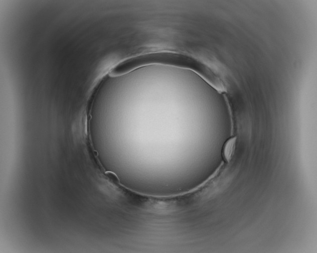 X0000115251365200911061210