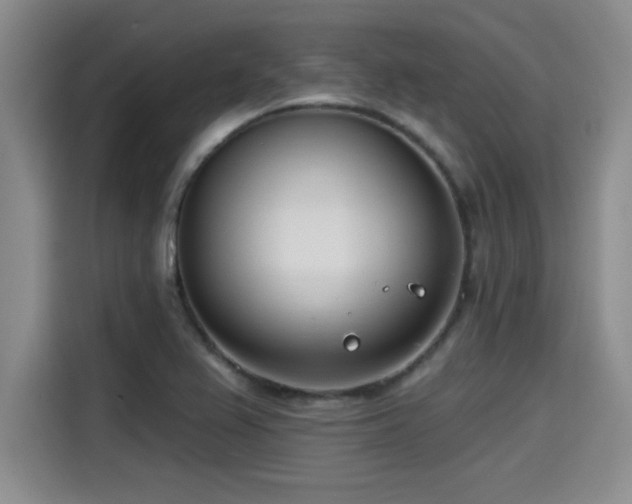 X0000115251367200911061210