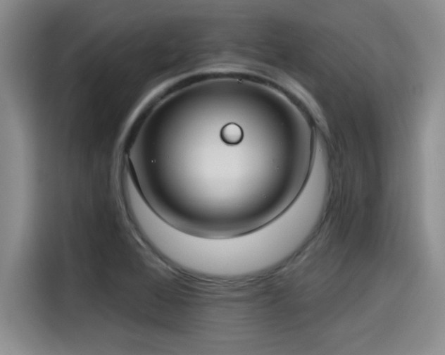 X0000115251368200911061210