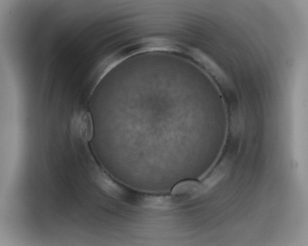 X0000115251369200911061210