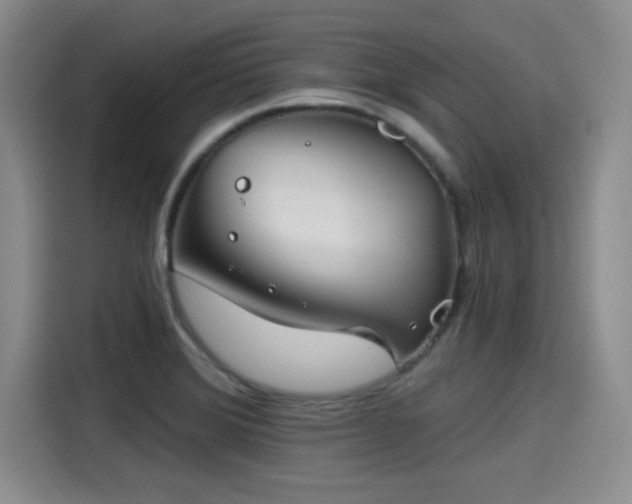 X0000115251372200911061210