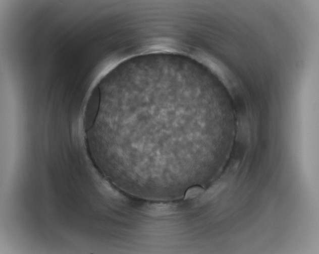 X0000115251373200911061210