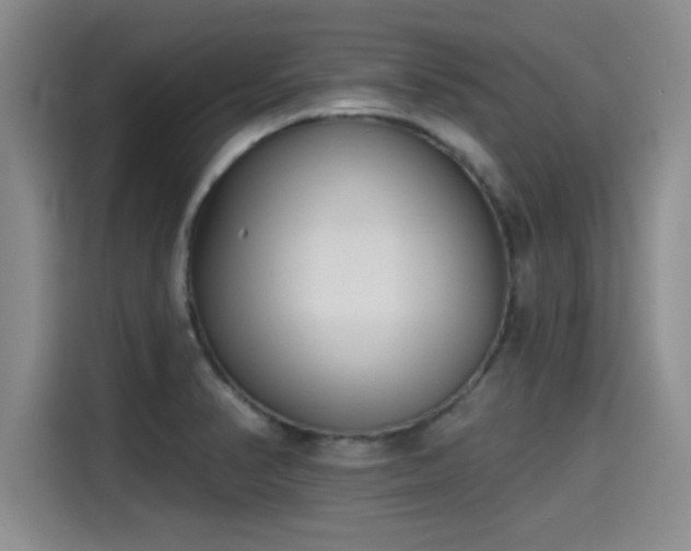 X0000115251374200911061210