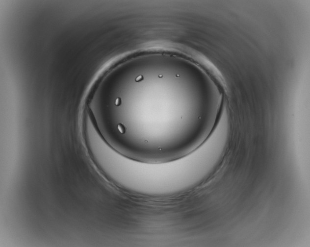 X0000115251376200911061210