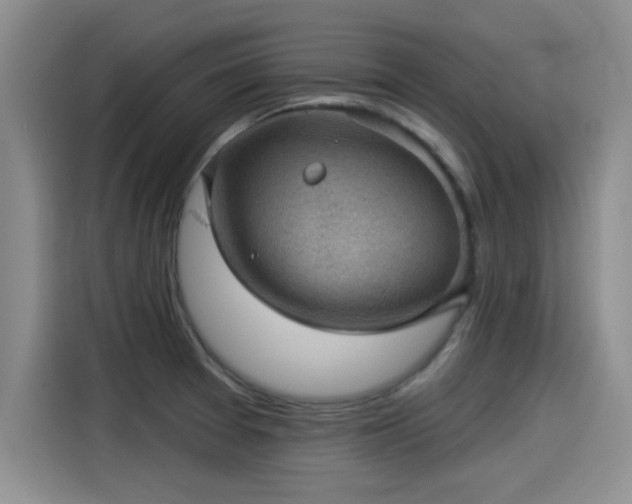 X0000115251377200911061210