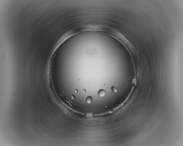 X0000115251378200911061210