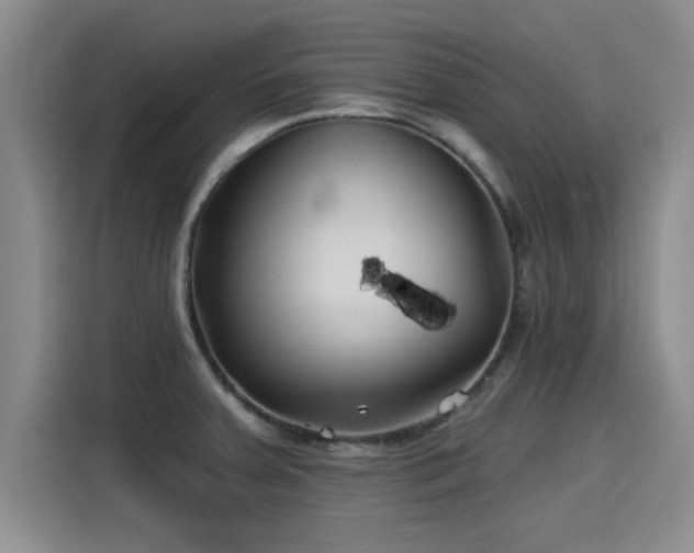 X0000115251379200911061210