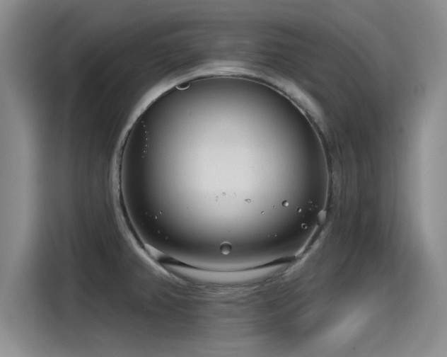 X0000115251382200911061210