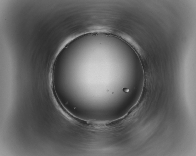 X0000115251383200911061210